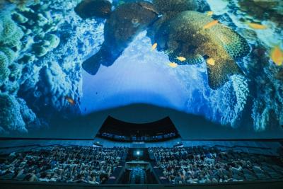 La proyección 'Oceans' lidera el ranking de las películas más vistas del Hemisfèric en 2023